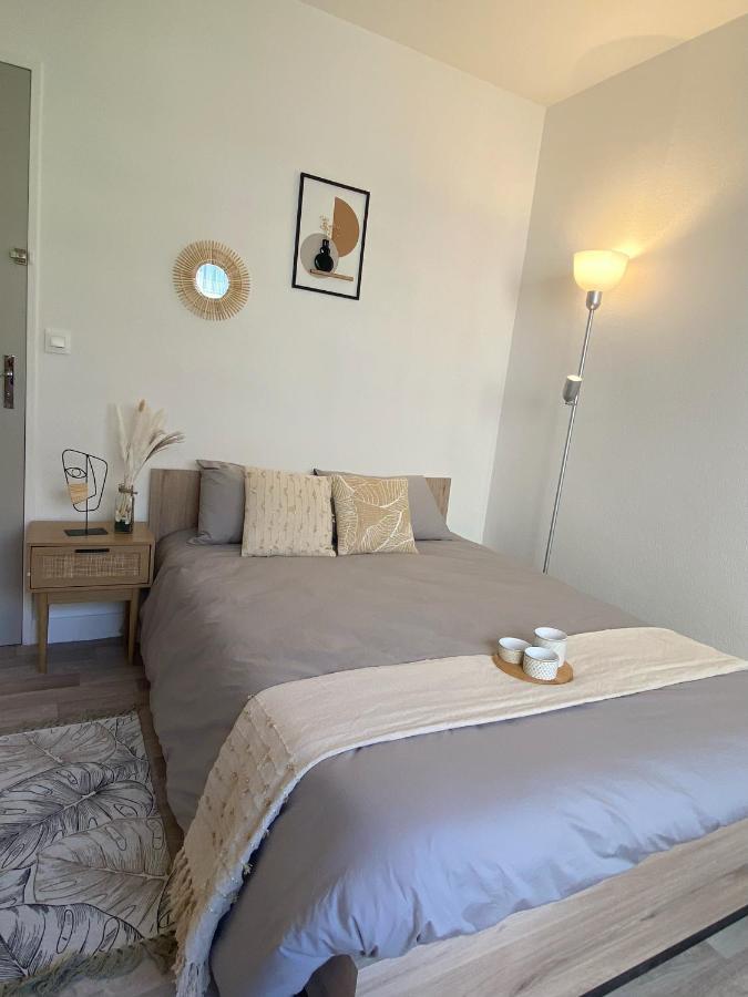Confort & Elegance En Ville Avec Parking Gratuit Le Mans Esterno foto